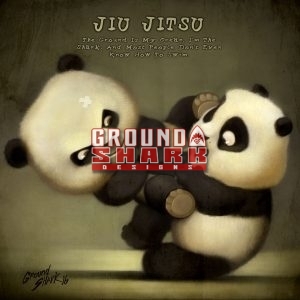 Flying Panda Armbar