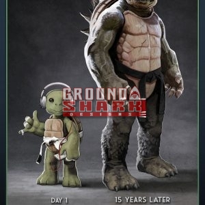 Turtle Transformation