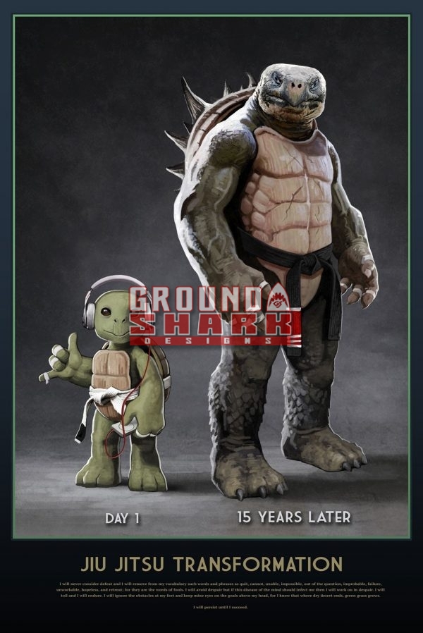 Turtle Transformation