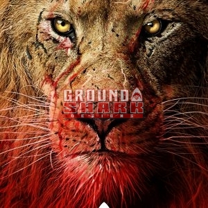 Lion Eyes Poster